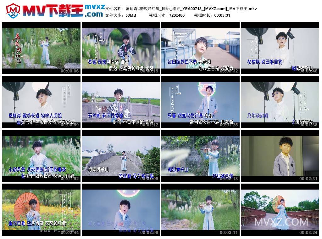 范迪森-花落残红满_国语_流行_YEA00718